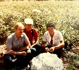1983 Константин Клименко со шведским туристами на сборе хлопка в Узбекистане